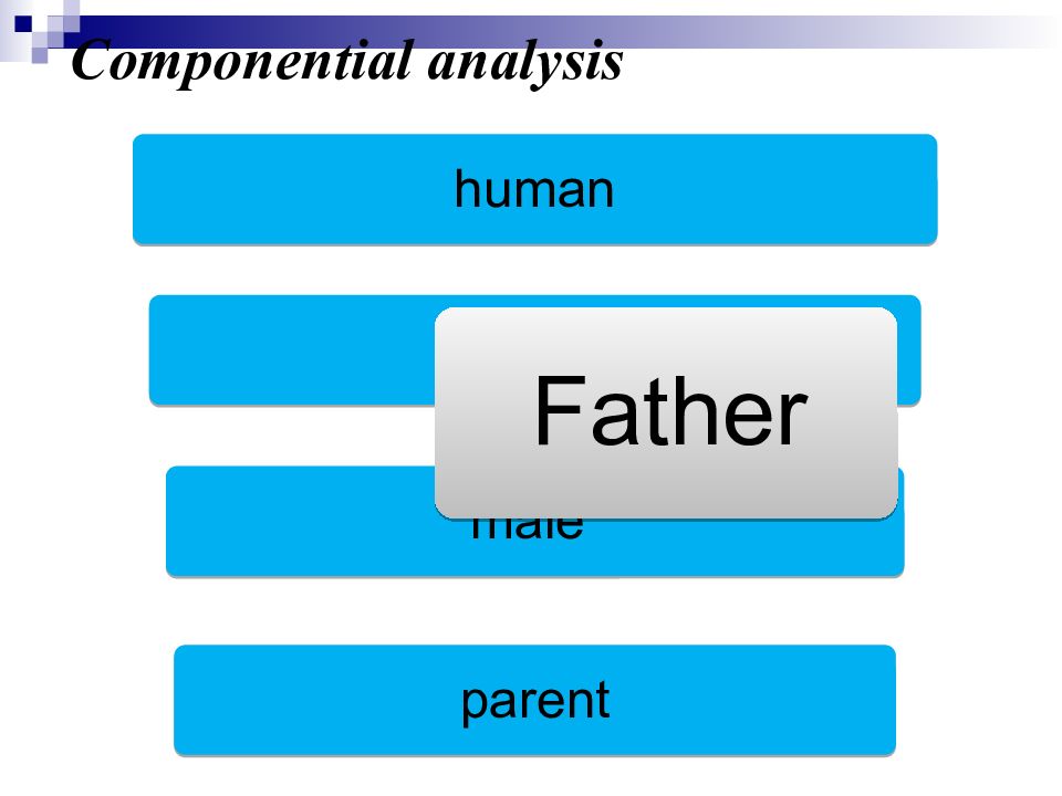 Componential analysis. Componential analysis in lexicology. Componential analysis in lexicology. Componential analysis examples. Componential analysis.