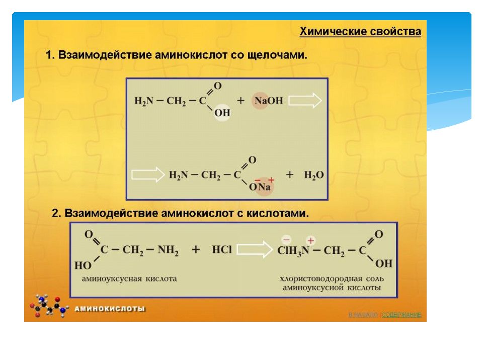 Презентация амины и аминокислоты 10 класс