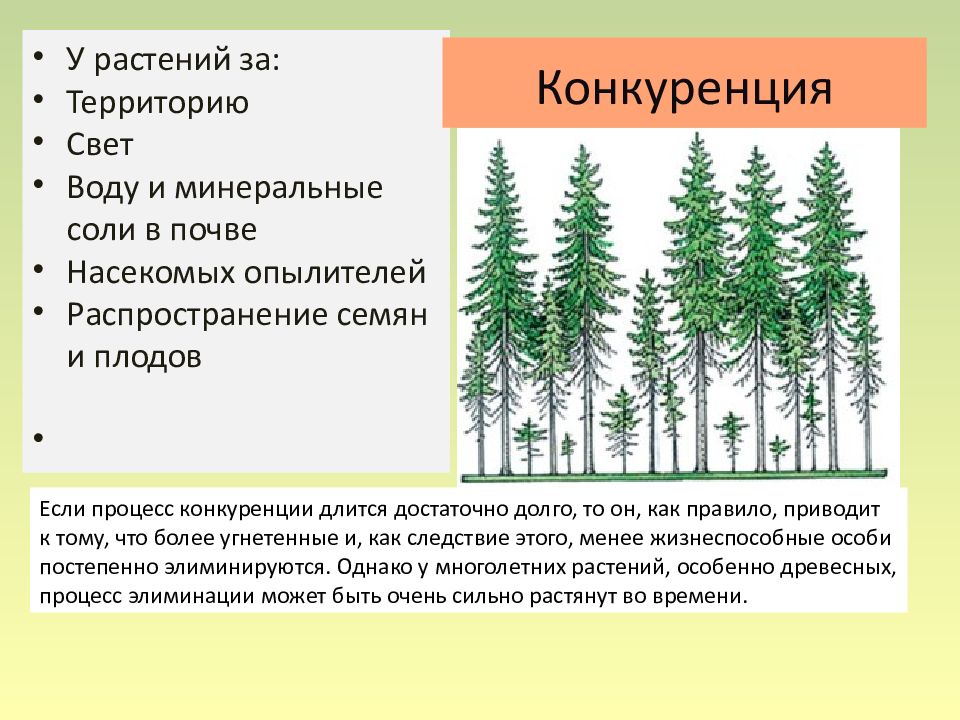 Между растительностью