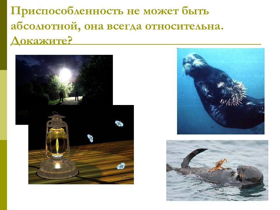 Всегда относителен. Приспособление организмов к жизни в водной среде. Приспособления для жизни в водной среде. Приспособленность живых организмов к водной среде обитания. Организмы обитающие в воде.