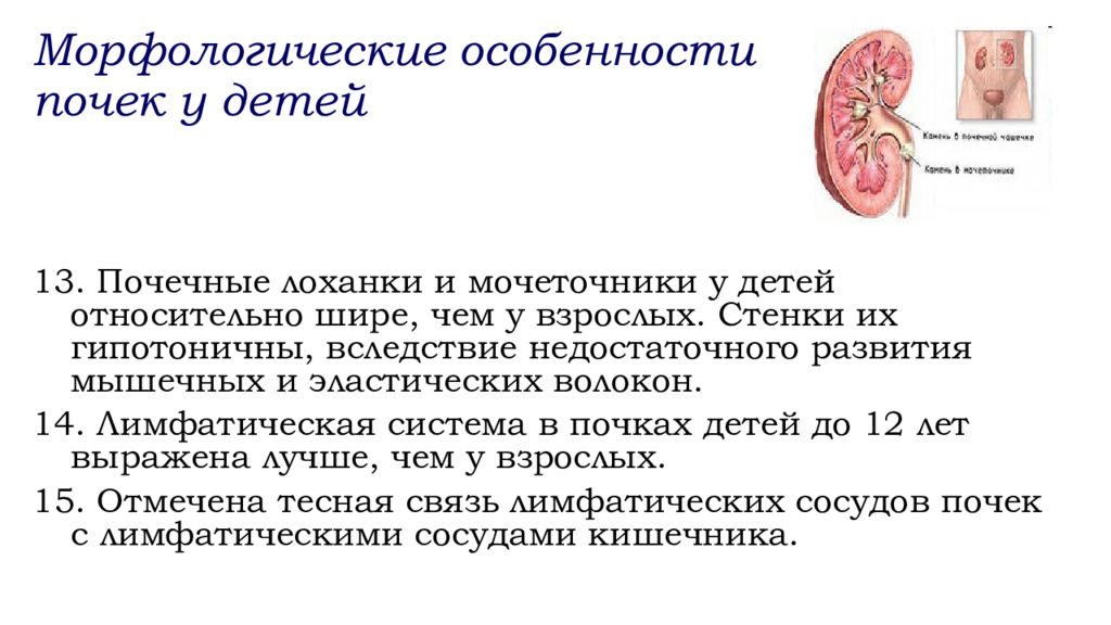 Анатомо физиологические особенности мочевыделительной системы у детей презентация