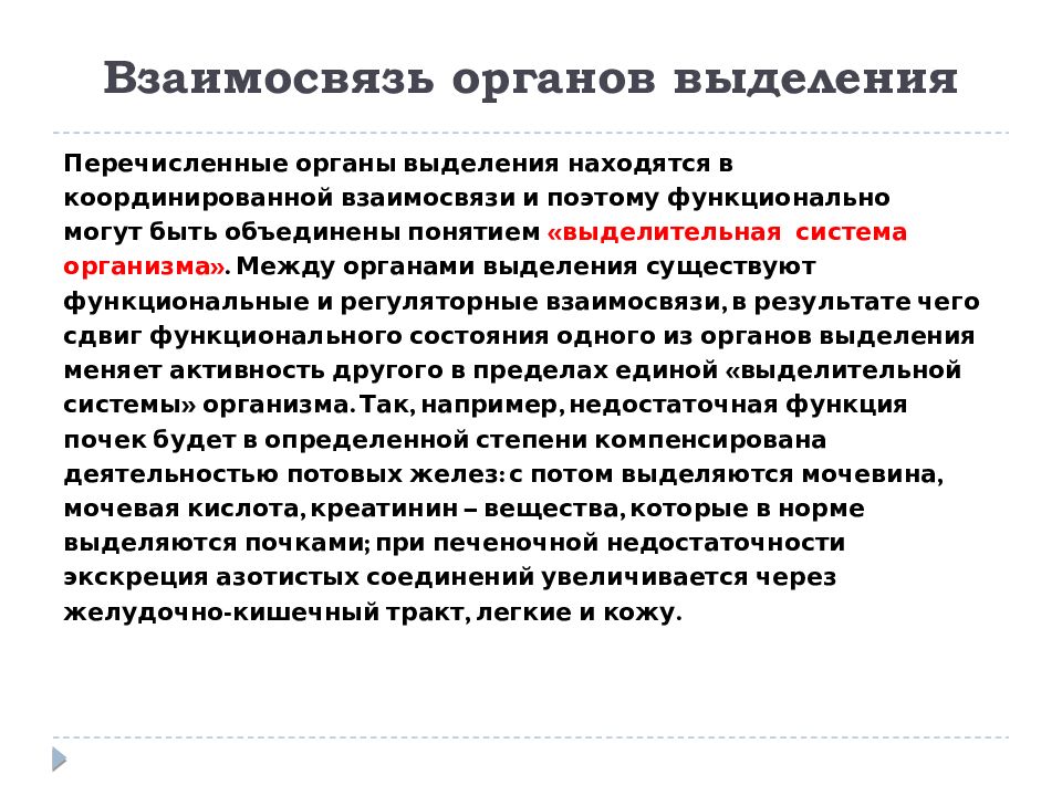 Взаимоотношение органов. Взаимоотношения между органами. Морфофункциональная характеристика системы выделения. Компенсаторные взаимоотношения между органами выделения. Морфофункциональная характеристика органов выделительной системы.