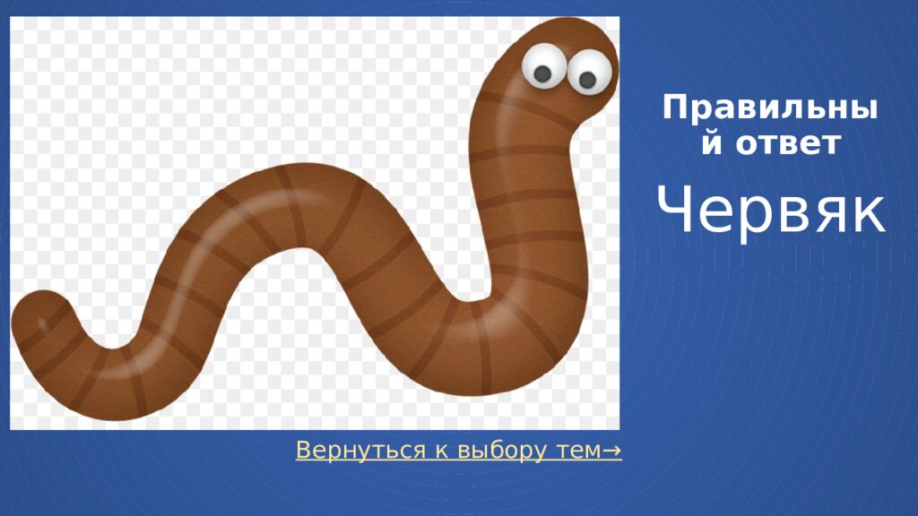 Правильный ответ Червяк