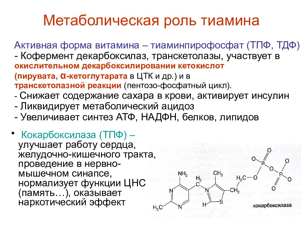 Активная форма витамина а. Витамин b2 кофермент. Активная форма рибофлавина. Витамины лекция.