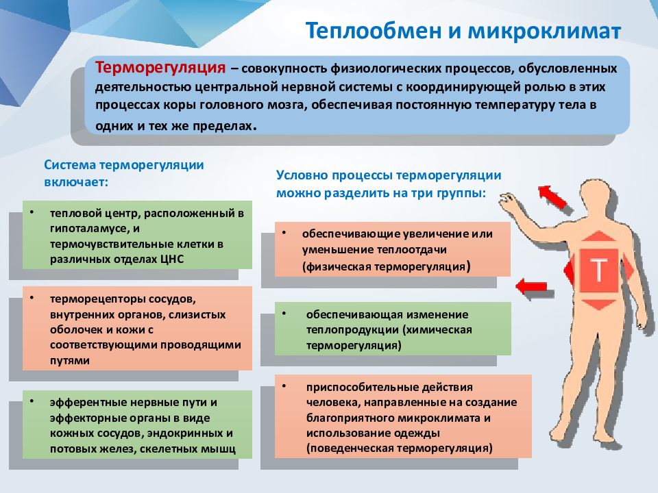 Факторы микроклимата. Классификация производственного микроклимата. Факторы влияющие на микроклимат. Факторы составляющие микроклимат.