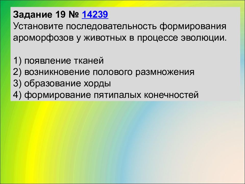 Последовательность ароморфозов в эволюции животных