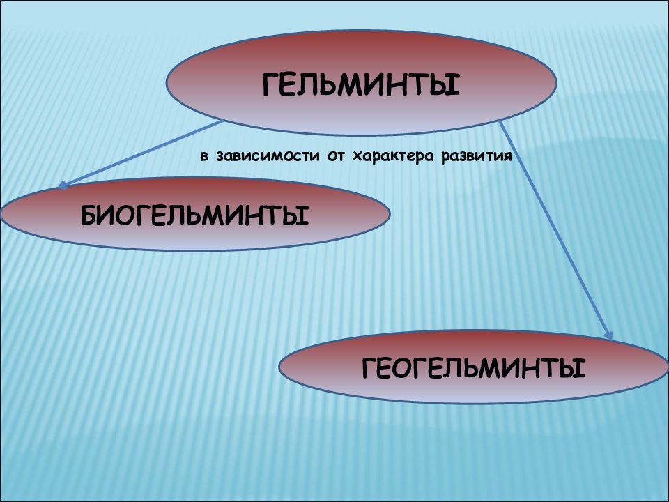 Геогельминты. Геогельминты без миграции. Биогельминты и геогельминты. Геогельминты с миграцией.