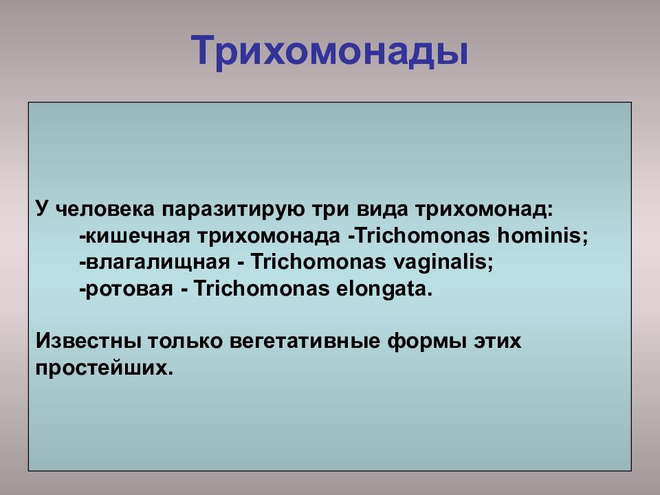 Медицинская протозоология презентация