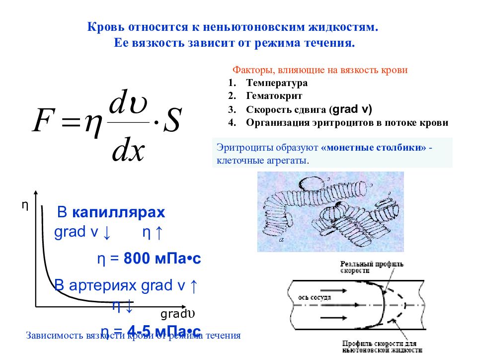 Ламинарное течение жидкости