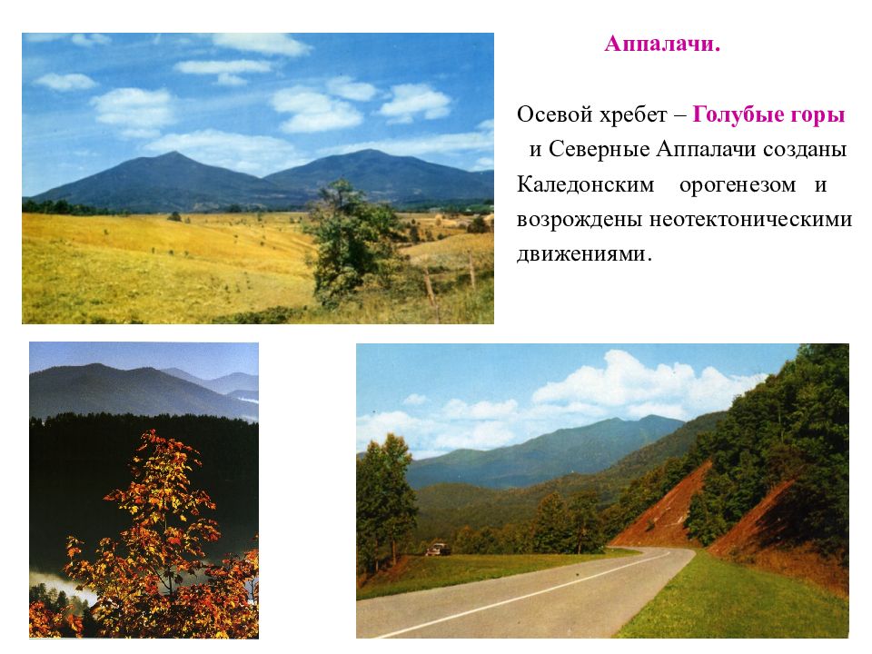 Черты природы. Что такое осевого хребта. Максимальная высота Аппалачи. Природные зоны Аппалачей. Преобладающие высоты Аппалачи.