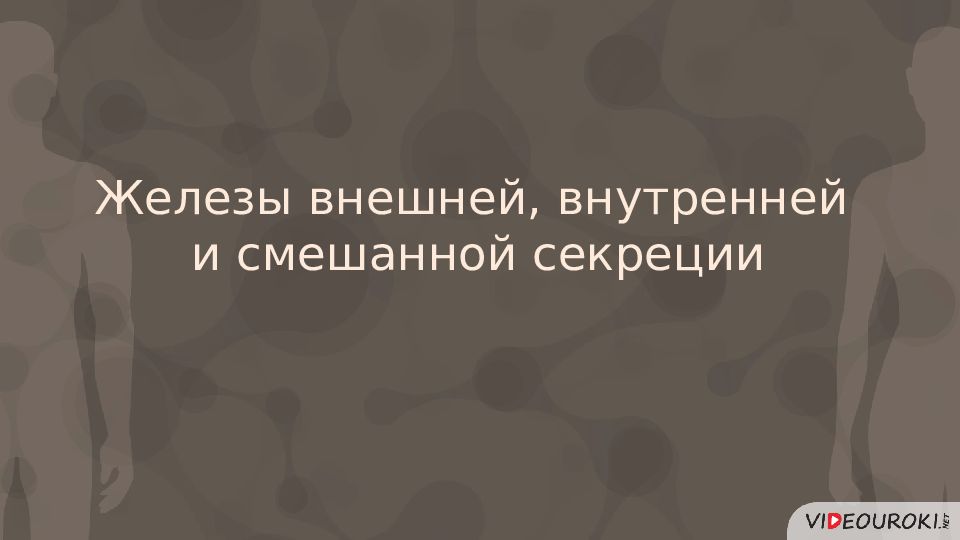 Железы внешней, внутренней и смешанной секреции