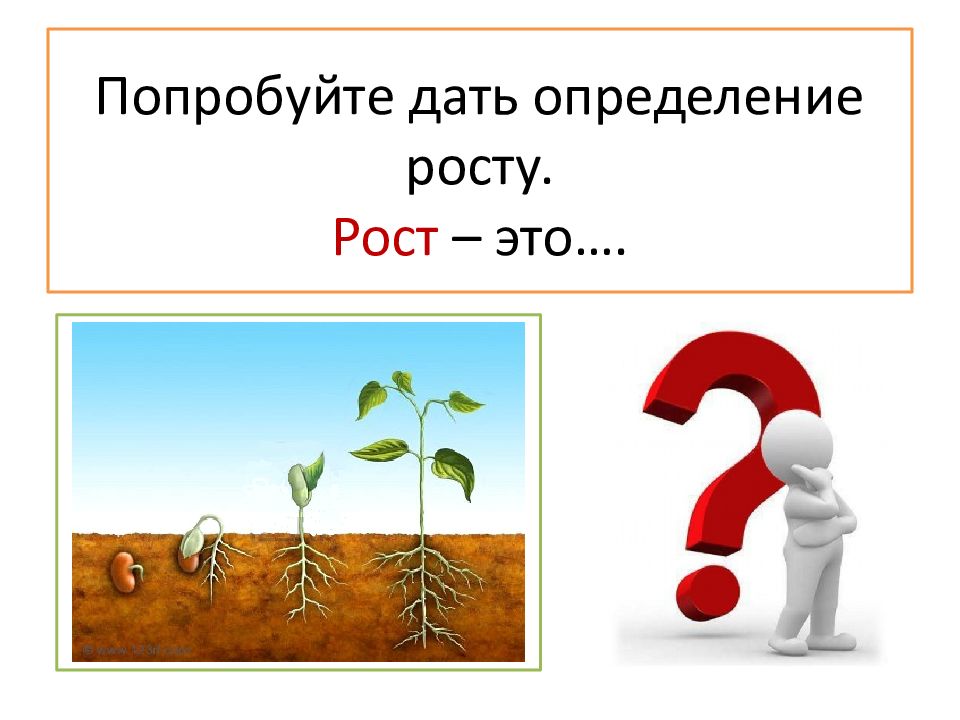 Презентация рост человека. Рост и развитие растений. Рост для презентации. Рост определение биология. Рост и развитие растений картинки для презентации.
