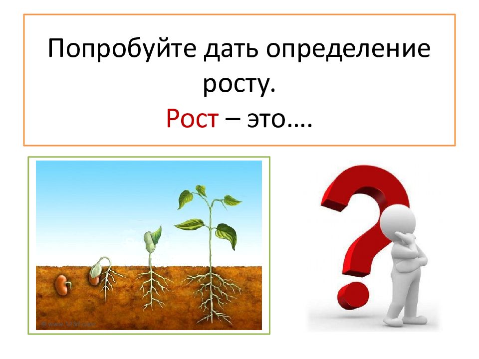 Презентация рост