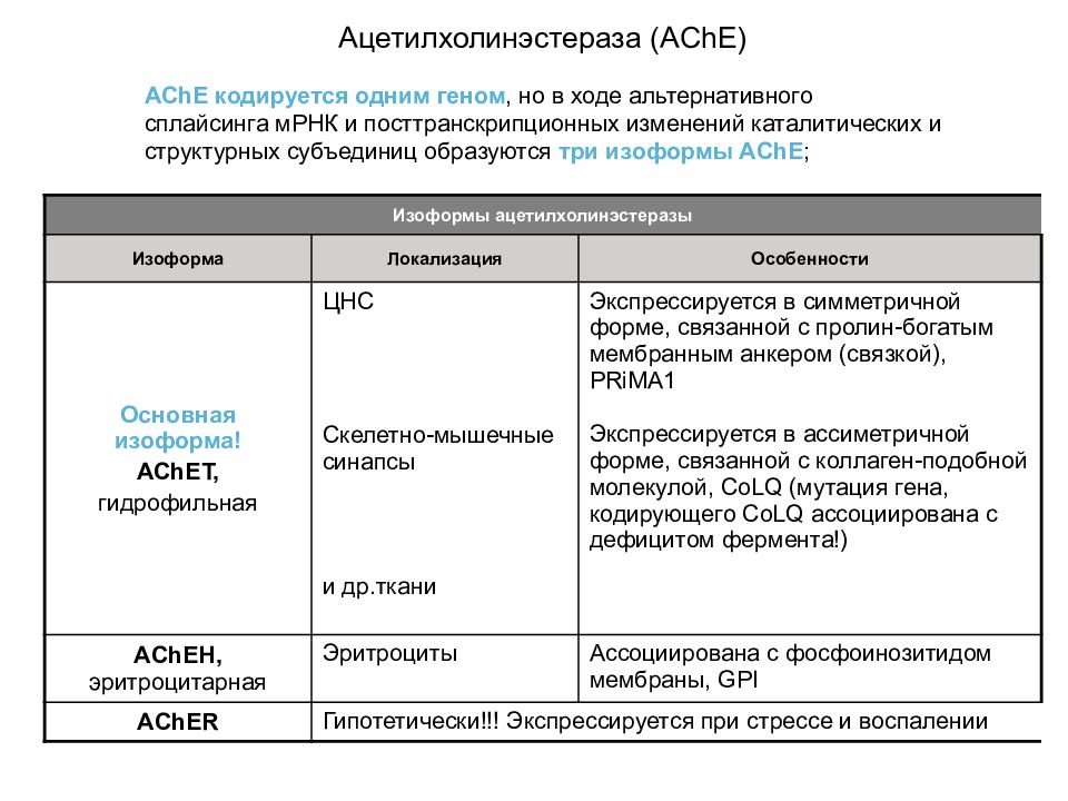 Препараты влияющие на периферическую нервную систему