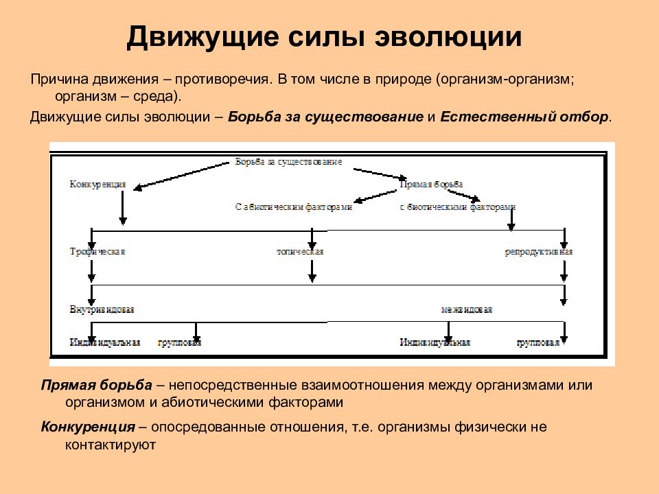 Движущие силы эволюции проект