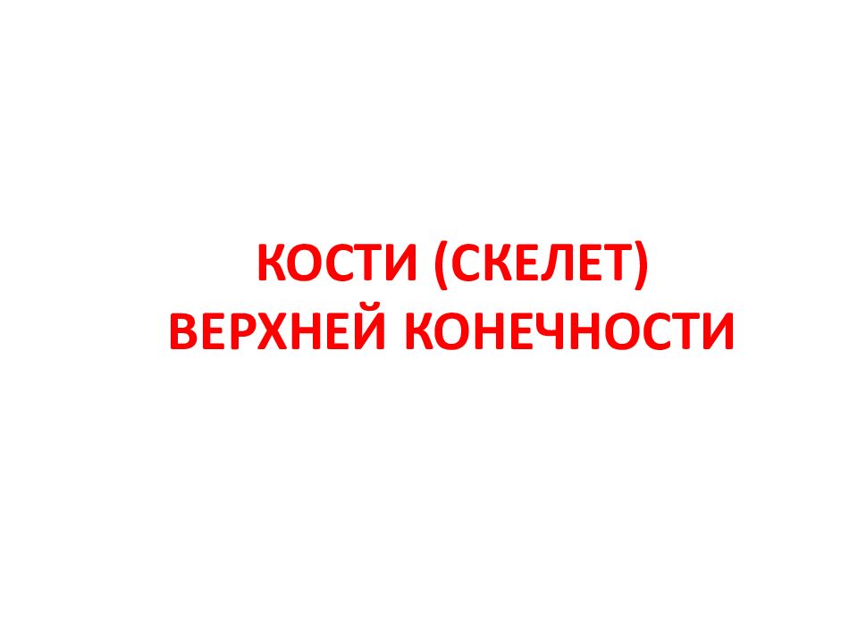 КОСТИ (СКЕЛЕТ) ВЕРХНЕЙ КОНЕЧНОСТИ
