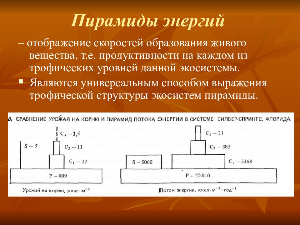 Сколько процентов энергии доходит до второго трофического уровня на приведенной схеме