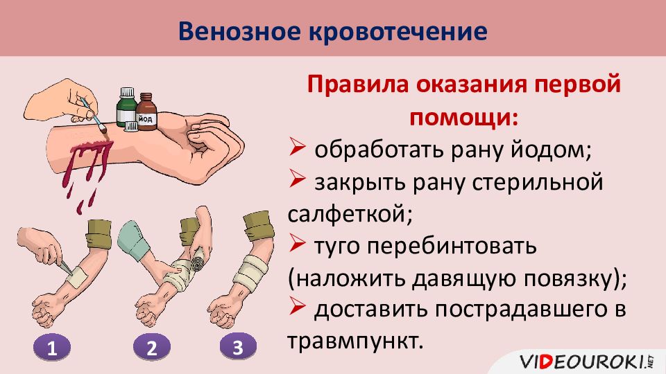 План конспект первая помощь при кровотечениях