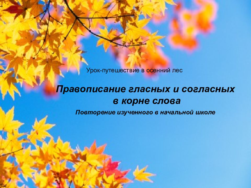 Правописание гласных и согласных в корне слова Повторение изученного в