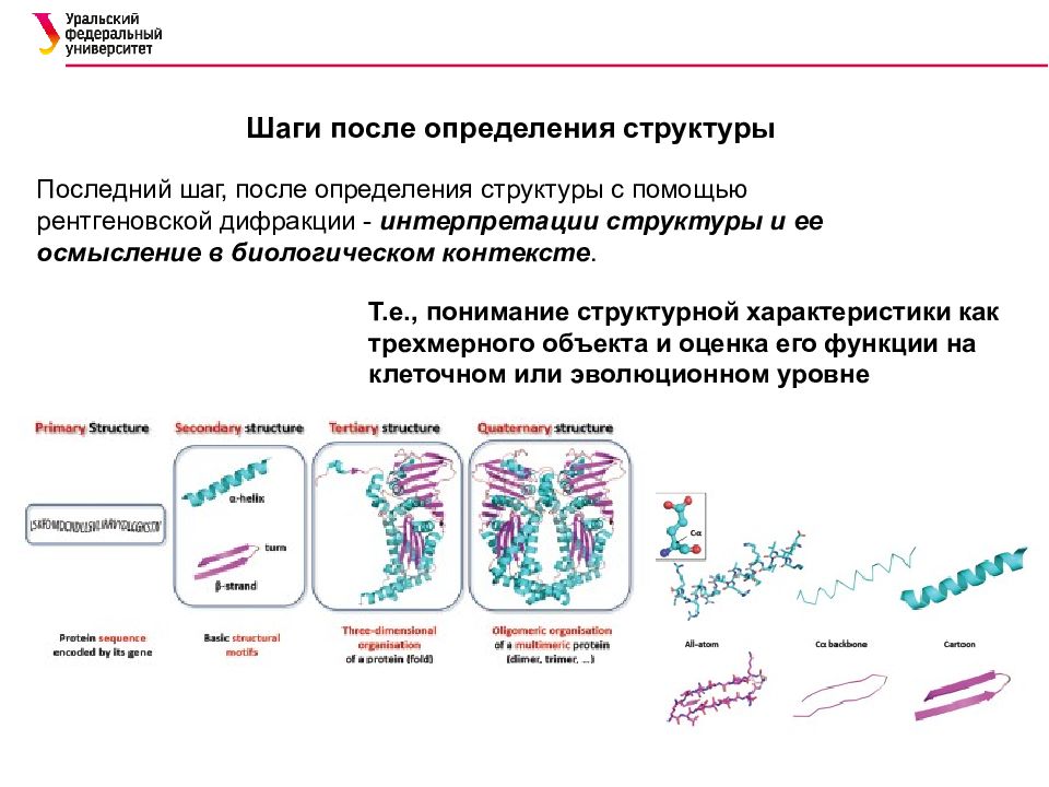 Биологический контекст. Антилус состав.