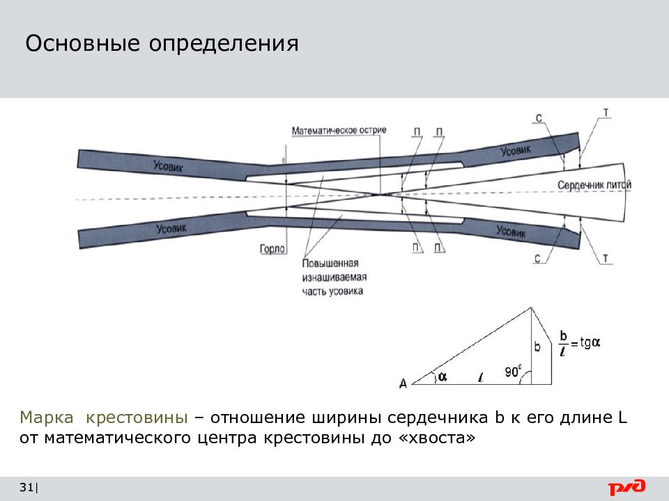 Отношение ширины