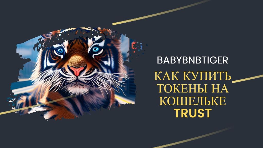 Инструкция для покупки BBT