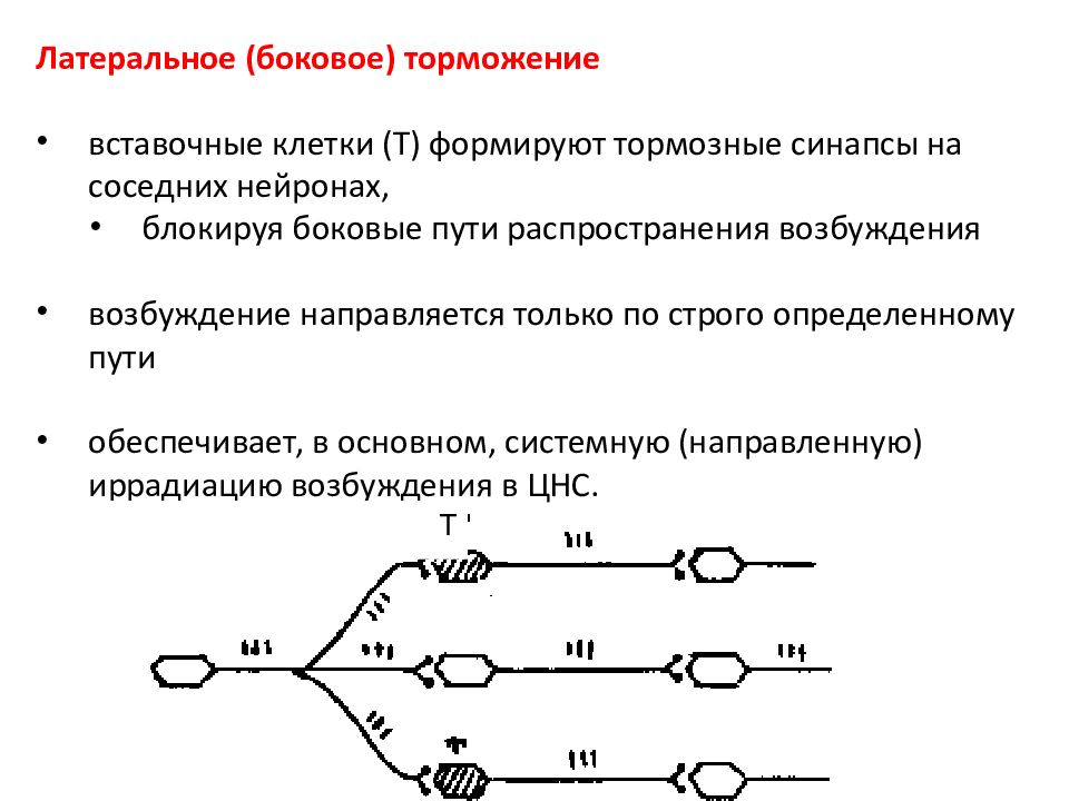 Латеральное торможение схема