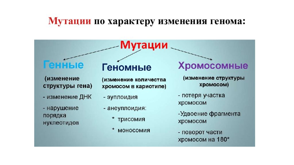 Изменчивость гена. Генные геномные хромосомные мутации таблица. Классификация хромосомных мутаций. Генные геномные и хромосомные болезни. Мутации по характеру изменения.