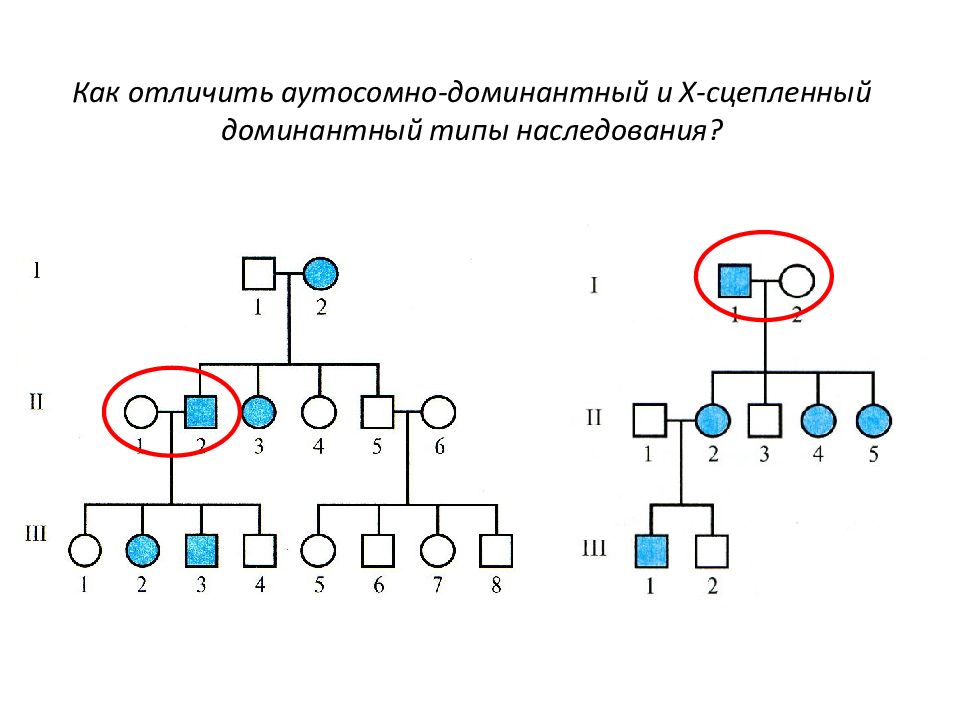 Аутосомный сцепленный с полом. Аутосомно-доминантный Тип наследования отличается. Критерии аутосомно-рецессивного типа. Схема скрещивания аутосомно доминантный. Аутосомно доминантный Тип наследования х сцепленное.