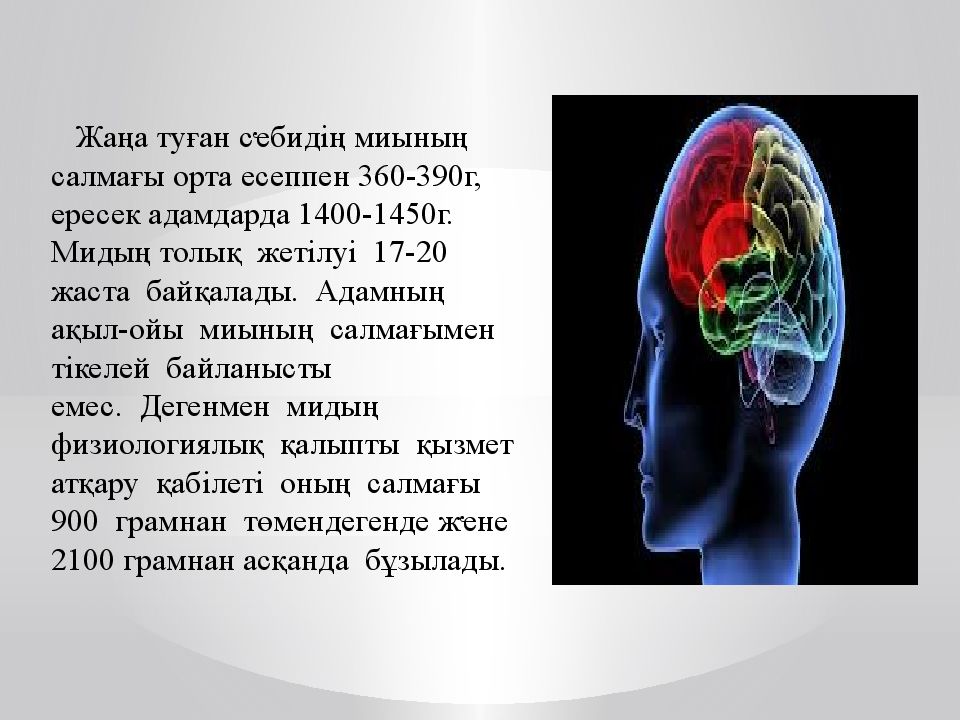 Орта есеппен. Жүйке жүйесі презентация. Жуке жуеси. Ми құрылысы презентация. Ми қыртысы презентация.