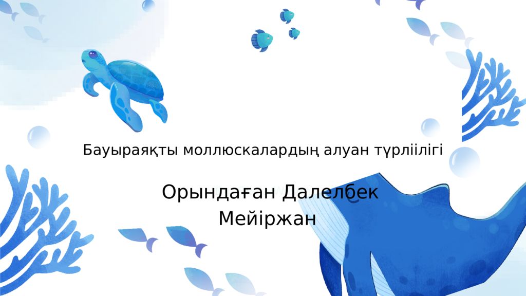 By Olivia Wilson Бауыраяқты моллюскалардың алуан түрліілігі Орындаған Далелбек