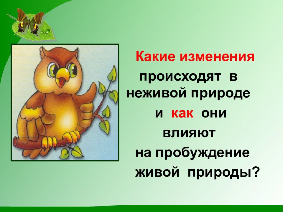 Какие изменения в неживой природе. Самое заметное изменение в неживой природе это. Какие изменения происходят в июне месяце в природе. Какие изменения происходят с детьми в 4 классе. Какие изменения происходят в живой природе Оренбургской области.