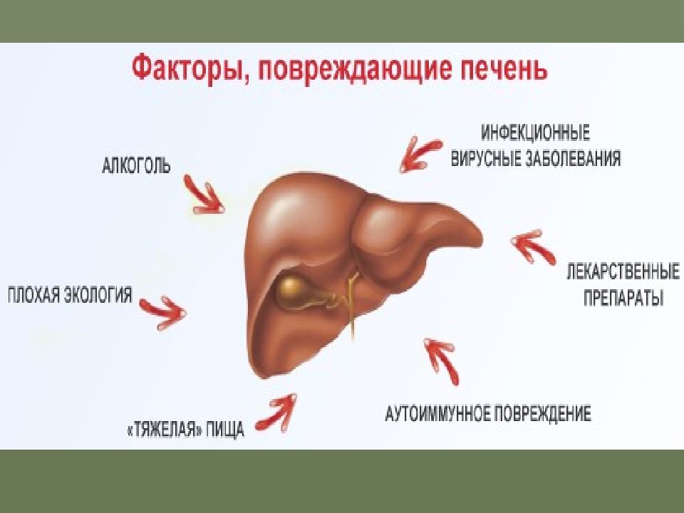 Диагностика гепатитов цирроза печени