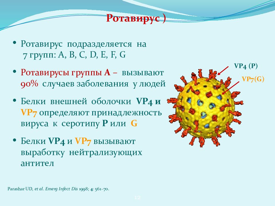 Как отличить ротавирусную от. Тип вируса ротавирус. Возбудитель ротавирусной инфекции. Ротавирус строение вируса. Ротавирусная инфекция строение.