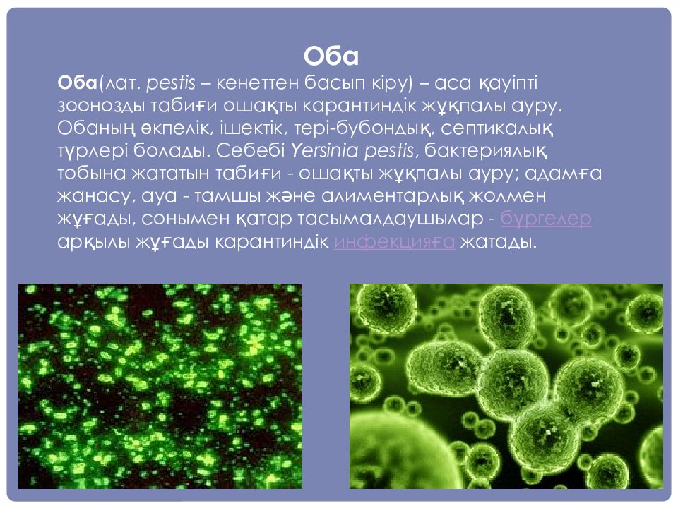 Пневмония ауруы презентация