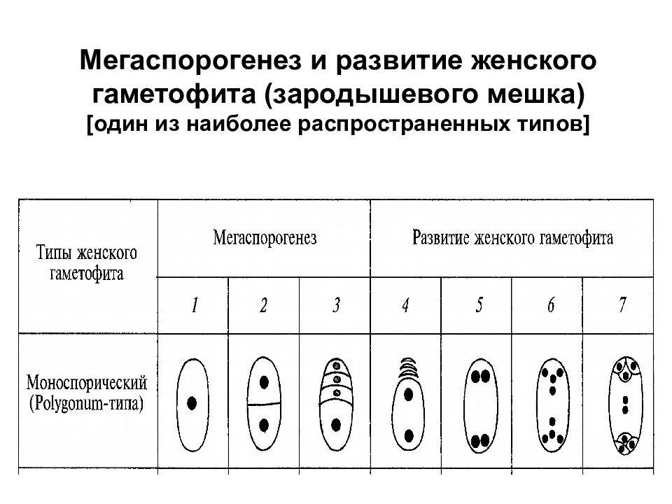 Рассмотрите внимательно рисунки 112 и 116 и сравните продолжительность жизни