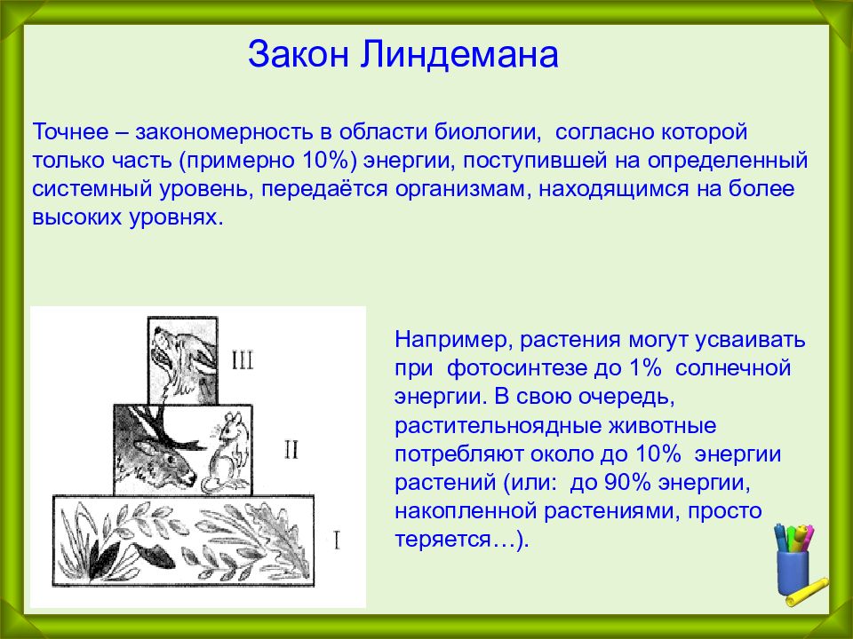 Тема биологические законы. Законы биологии. Основные законы биологии. Законы экологии биология. Закон экологических закономерностей.