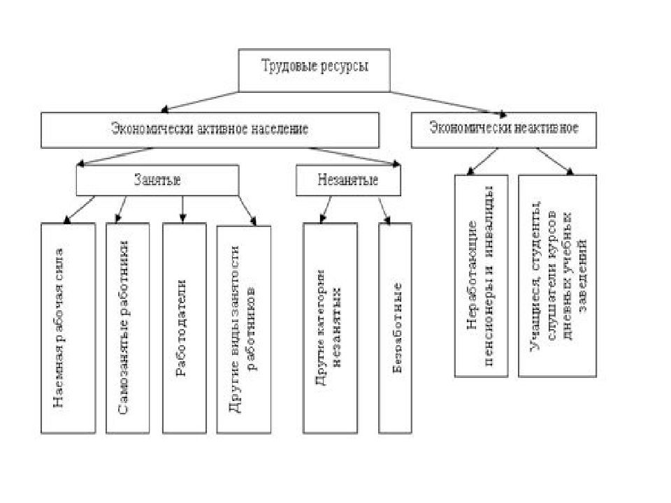 Экономически занятое население. Экономически неактивные трудовые ресурсы.