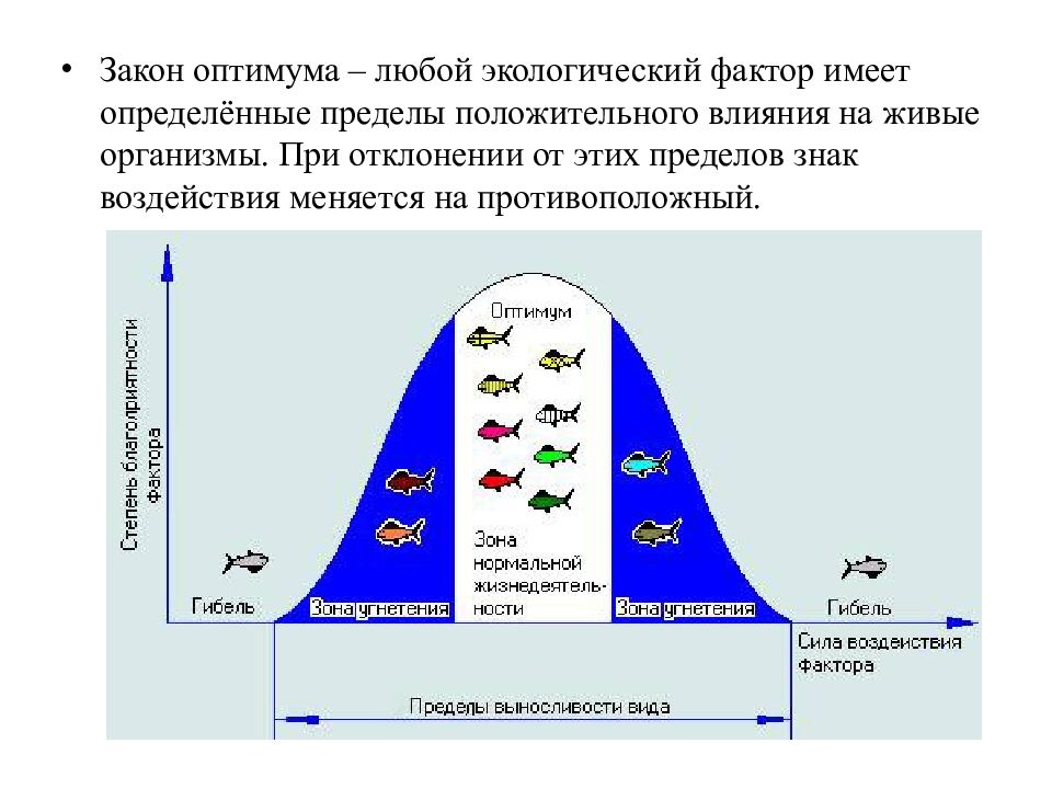 Картинки закон оптимума