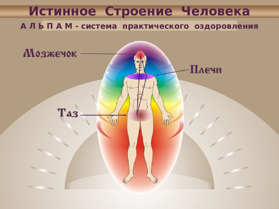 М систем. Энергетическое строение человека. Строение 7 тел человека. Энергетическое тело человека состоит из. Физическое энергетическое строение человека.