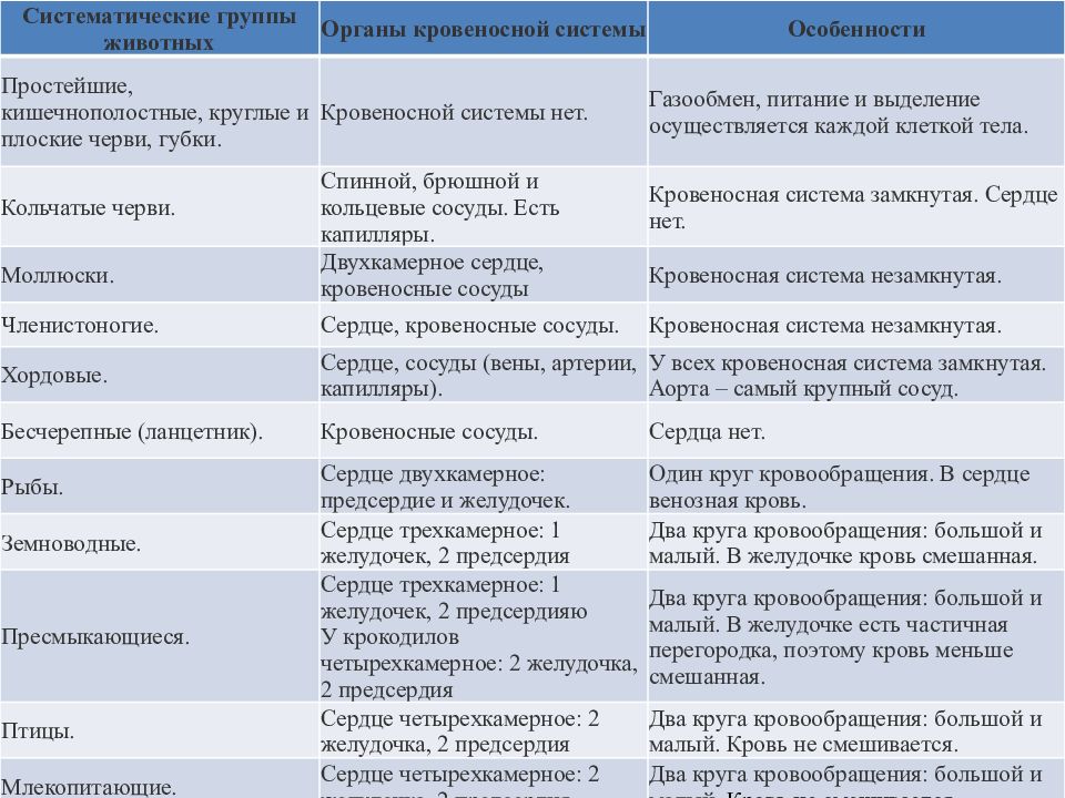 Кровеносная система животных биология 7 класс презентация