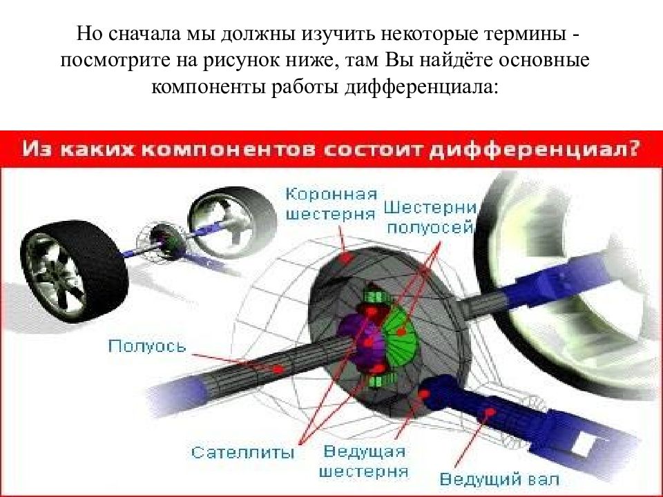 Некоторые термины