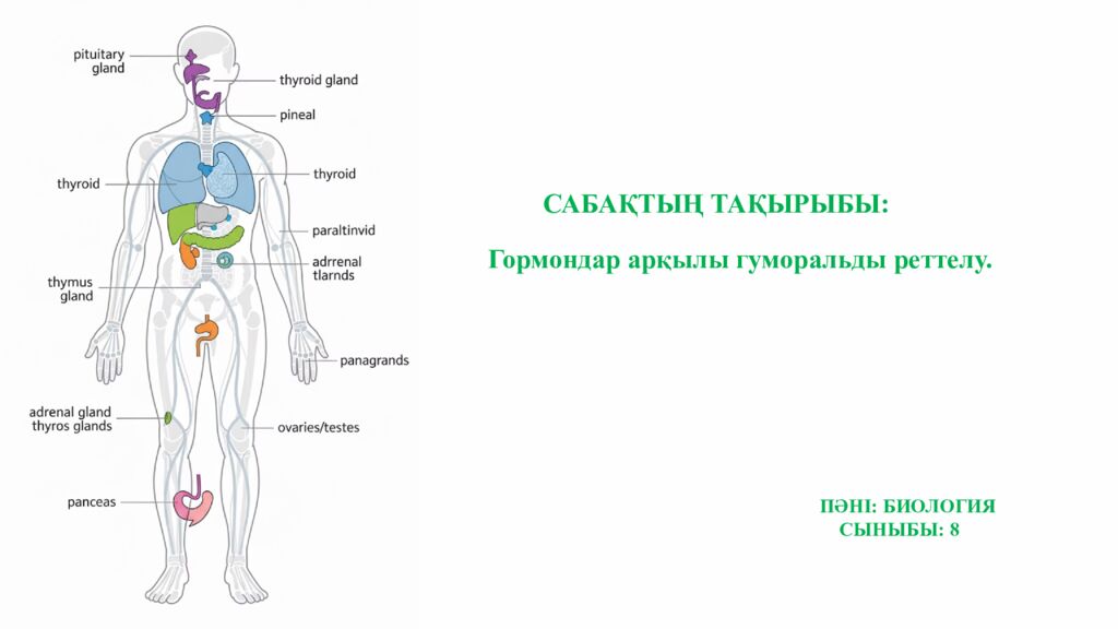 ПСИХОЛОГИЯЛЫ Қ АТМОСФЕРА ОРНАТУ Додокоэдр» тәсілі бойынша жағымды психологиялық