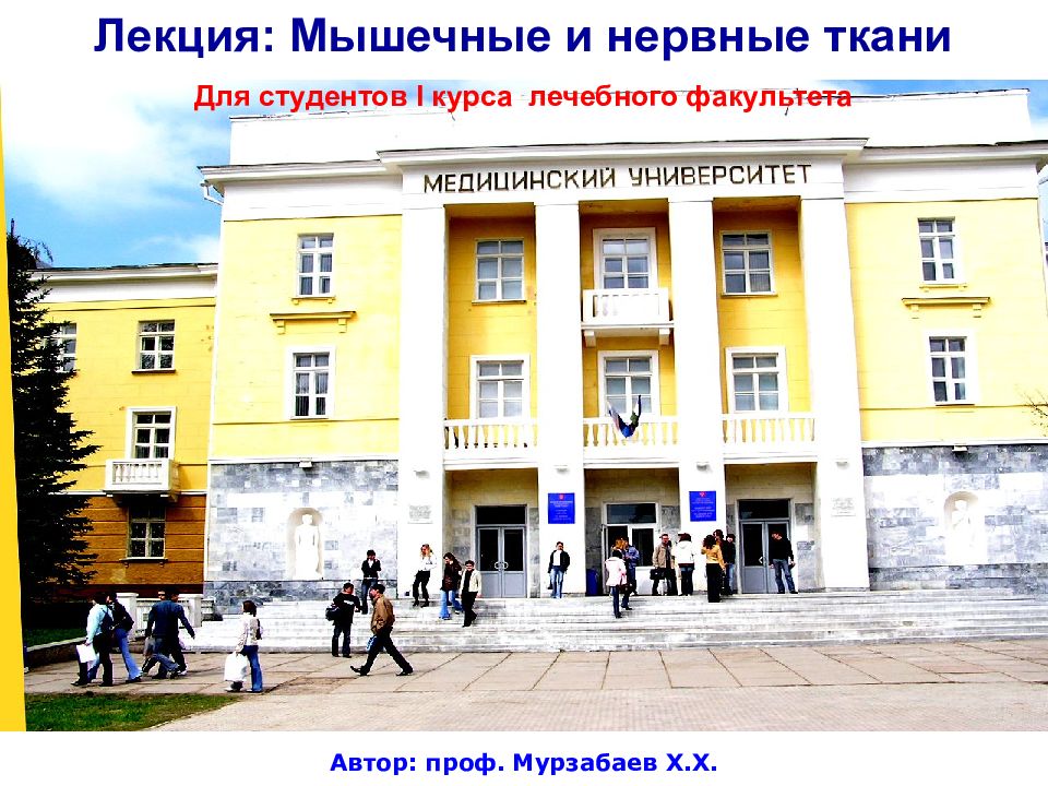 Лекция: Мышечные и нервные ткани Для студентов I курса лечебного