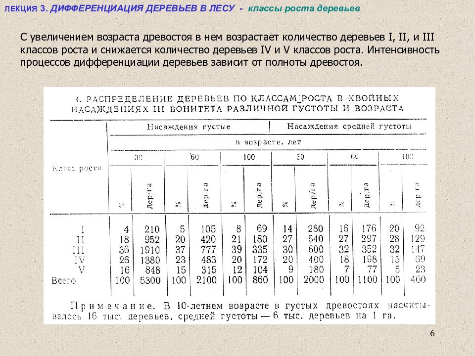 Состав древостоя. Диаметр древостоя. Средний диаметр древостоя. Дифференциация деревьев. Классы возраста древостоя.