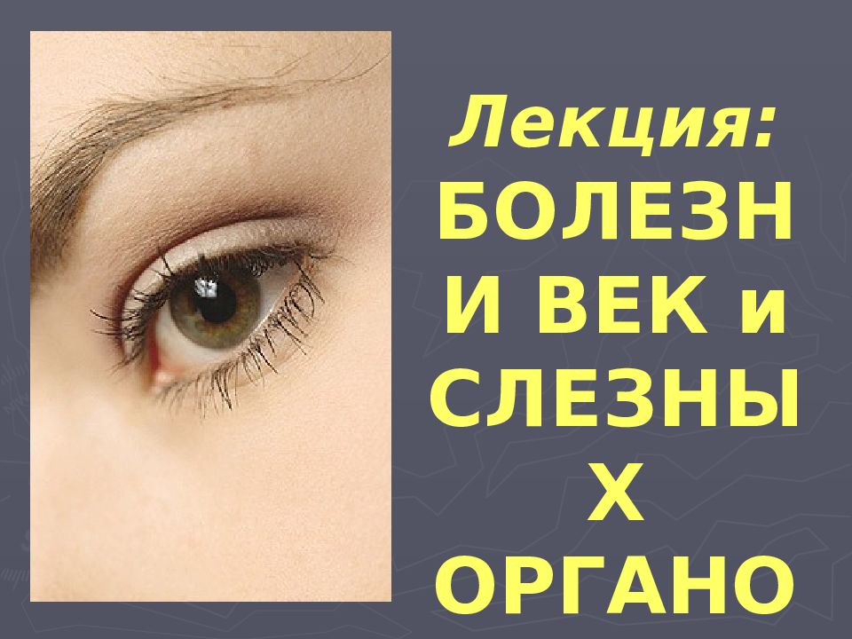 Лекция: БОЛЕЗНИ ВЕК и СЛЕЗНЫХ ОРГАНОВ