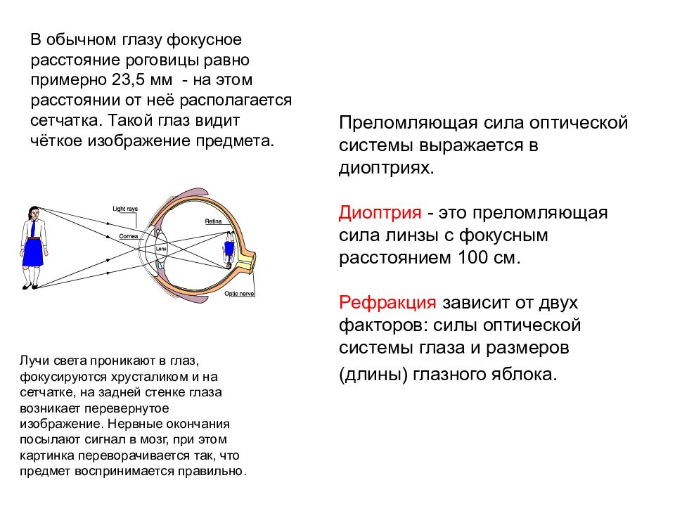 Оптических структур глаза в ячейки цепочки. Преломляющая сила оптической линзы. Общая преломляющая сила оптического аппарата глаза.. Преломляющей силы оптической системы. Диоптрический аппарат глаза преломляющая сила.