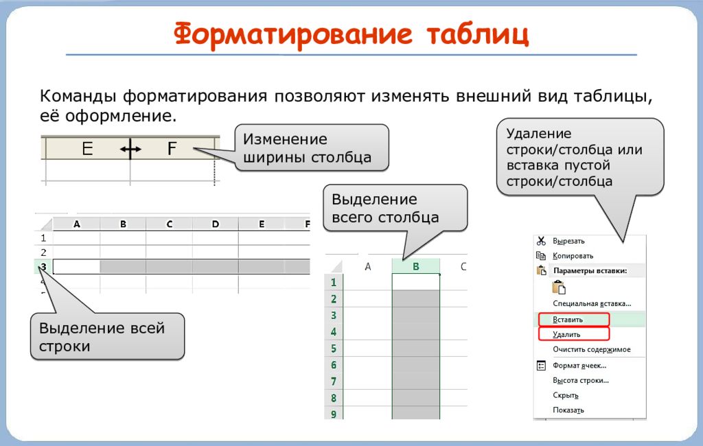 Форматирование электронных таблиц. Элементы форматирования таблиц. Элементы форматирования электронной таблицы. Виды электронных таблиц.