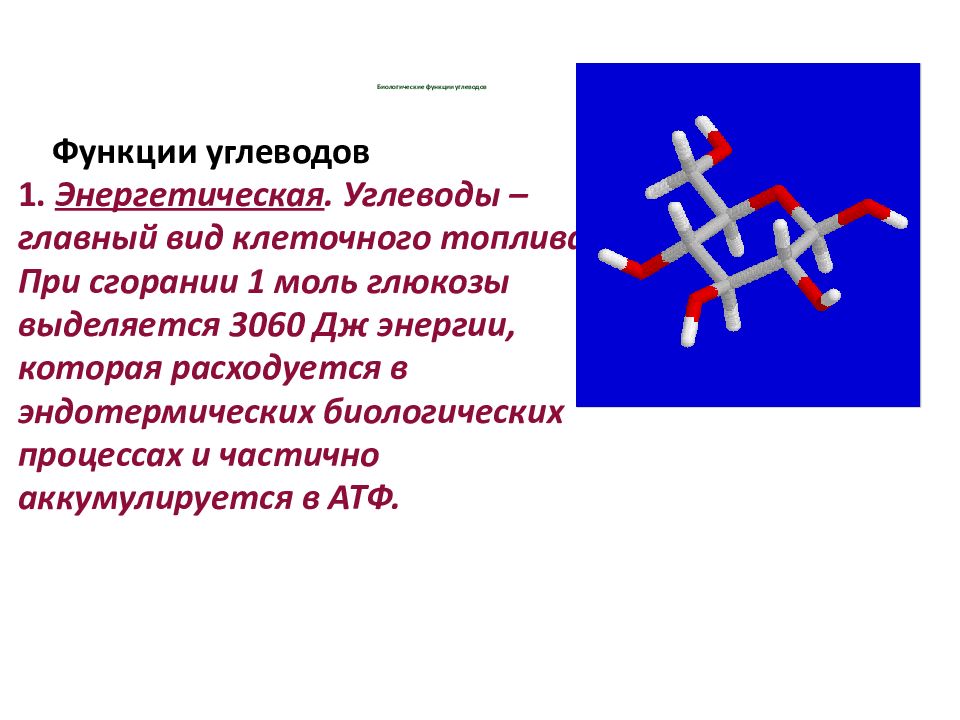 Биологические функции углеводов