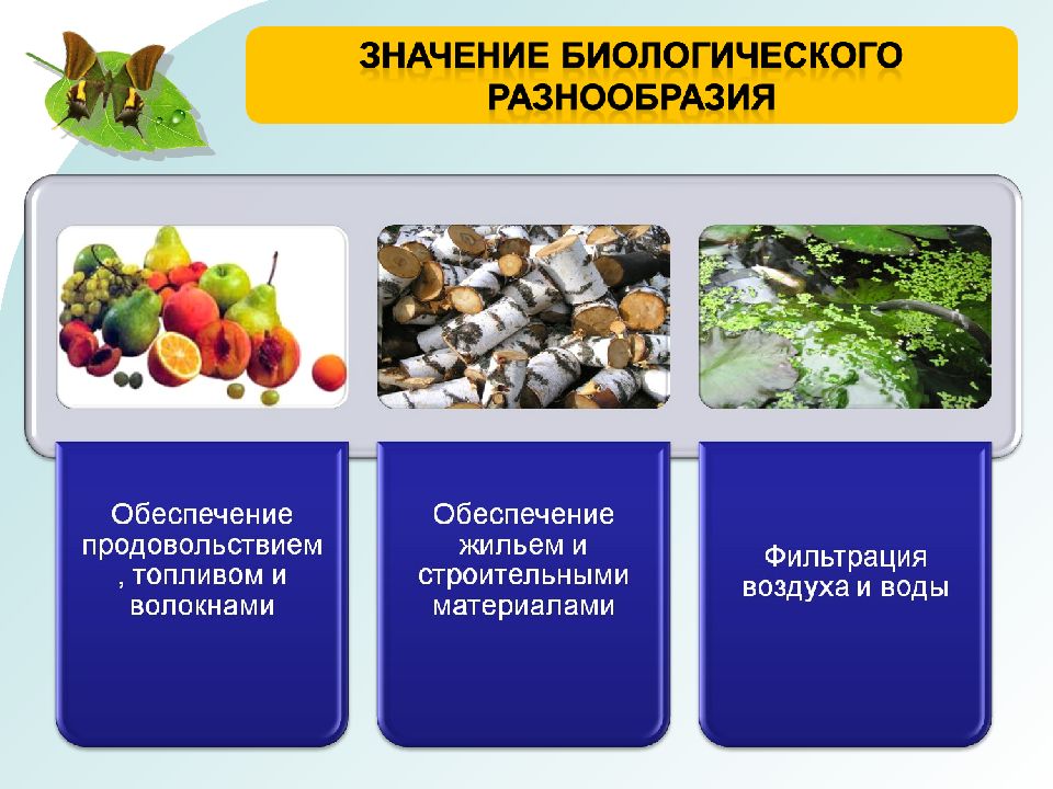 Федерального проекта сохранение биологического разнообразия и развитие экологического туризма